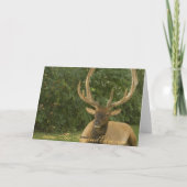 De vreedzame Kaart van de Vakantie van de Groeten (Achterkant)