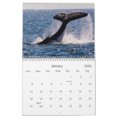 De Vreedzame Oceaan van het Paradijs van Surfers Kalender (Jan 2026)