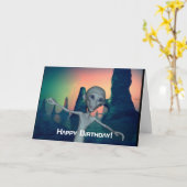 De vreemdeling ontmoet de Gelukkige Kaart van de (Gele Bloem)