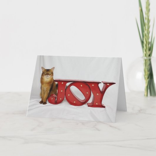 De Vreugde die van de vakantie de Samba van de Feestdagen Kaart (Voorkant)