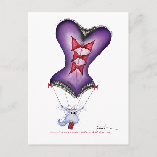 De vreugde van ballonvaren briefkaart (Voorkant)