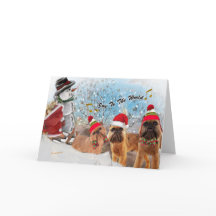 De Vreugde van Brussel Griffon aan de Kaarten van