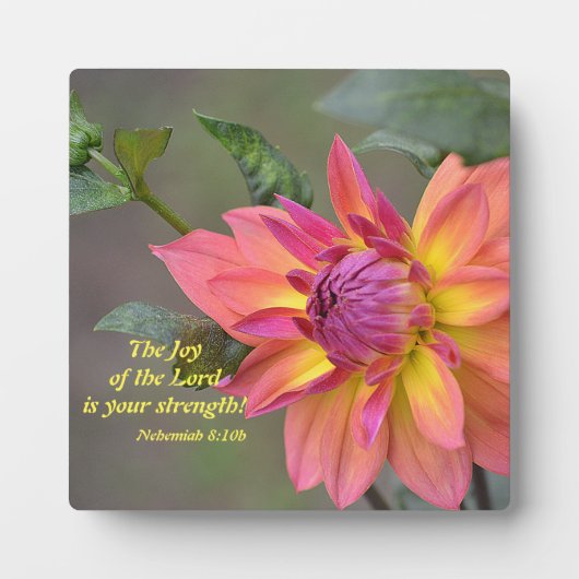 De vreugde van de Heer is jouw kracht! Fotoplaat (Voorkant)