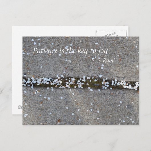 De Vreugde van Rumi van de Bloemblaadjes van de Briefkaart (Voorkant / Achterkant)