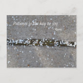 De Vreugde van Rumi van de Bloemblaadjes van de Briefkaart (Voorkant)