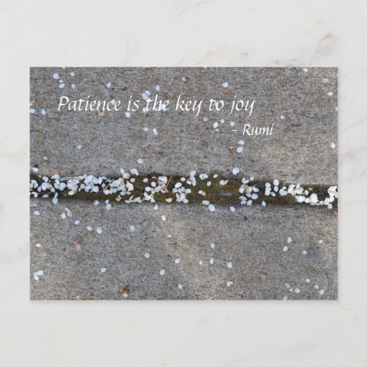 De Vreugde van Rumi van de Bloemblaadjes van de Briefkaart (Voorkant)