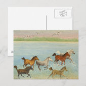 De vreugde van vrijheid 2013 briefkaart (Voorkant / Achterkant)