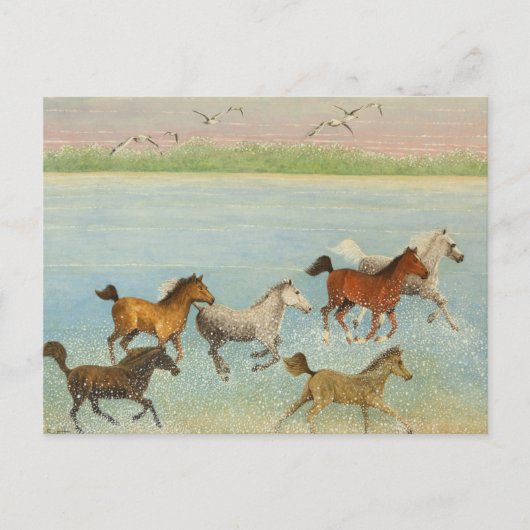 De vreugde van vrijheid 2013 briefkaart (Voorkant)