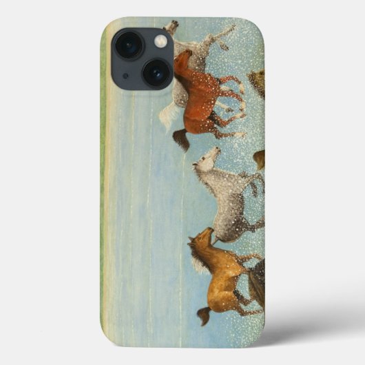 De vreugde van vrijheid 2013 Case-Mate iPhone case (Achterkant)
