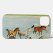 De vreugde van vrijheid 2013 Case-Mate iPhone case (Achterkant (horizontaal))