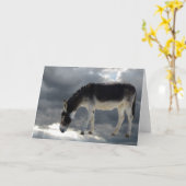 De Vriend van de Levenslust van de ezel in de Kaart (Gele Bloem)