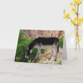 De Vriend van de Levenslust van de ezel - Spatie Kaart (Gele Bloem)