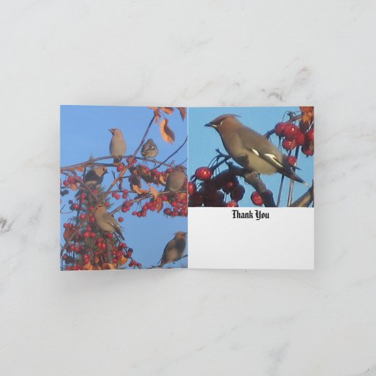 De vriendelijkheid dankt u kaardt bedankkaart (Binnen)