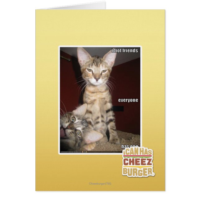 De Vrienden van de idiot (Voorkant)