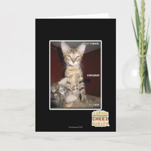 De Vrienden van de idiot Kaart