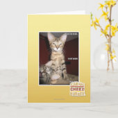 De Vrienden van de idiot Kaart (Gele Bloem)