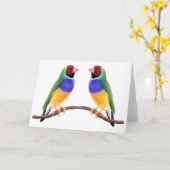 De Vrienden van de Vink van Gouldian Kaart (Gele Bloem)