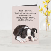 De vrienden zijn als de Kaart van Honden (Gele Bloem)