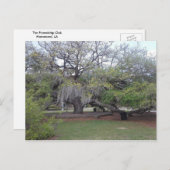 De vriendschap Oak 1 Briefkaart (Voorkant / Achterkant)