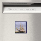 De vriendschap van Salem Magneet (Insitu (Vaatwasser))