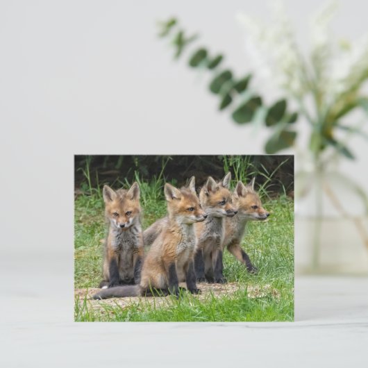 De vrije denker Fox Briefkaart (Staand voorkant)