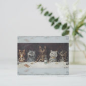 De vrijgezellenfeest van de kat briefkaart (Staand voorkant)