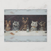 De vrijgezellenfeest van de kat briefkaart (Voorkant)
