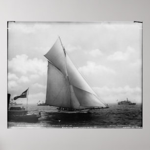 De vrijwilliger poster