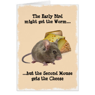 De vroege vogel kan de worm krijgen...