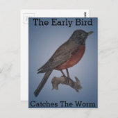 De vroege vogel vangt de worm briefkaart (Voorkant / Achterkant)