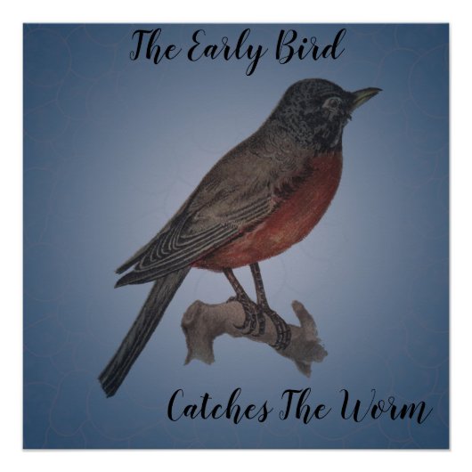 De vroege vogel vangt de worm perfect poster (Voorkant)