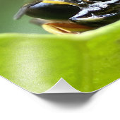 De vrolijke bug foto afdruk (Hoek)