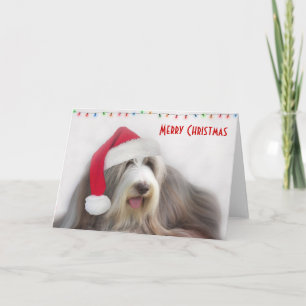 De vrolijke Gebaarde Collie van Kerstmis Feestdagen Kaart