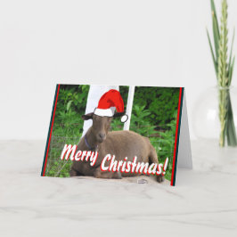 DE VROLIJKE GROETEN VAN DE GEIT VAN KERSTMIS FEESTDAGEN KAART