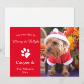 De vrolijke & Heldere Kaart van de Foto van het (Voorkant / Achterkant)