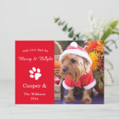 De vrolijke & Heldere Kaart van de Foto van het (Staand voorkant)