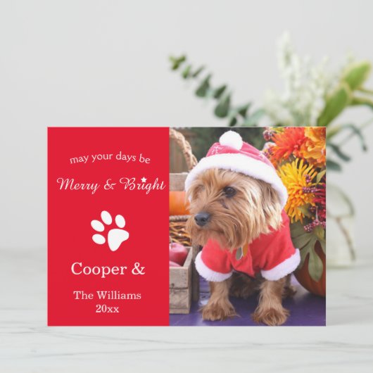 De vrolijke & Heldere Kaart van de Foto van het (Staand voorkant)