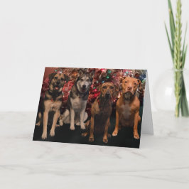De vrolijke Kaart van de Jongen van Kerstmis