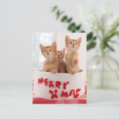 De vrolijke Katten van Kerstmis Feestdagenkaart (Staand voorkant)