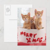 De vrolijke Katten van Kerstmis Feestdagenkaart (Voorkant / Achterkant)