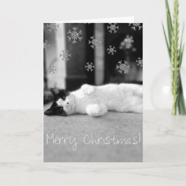 De Vrolijke Kerstkaart van het kat Feestdagen Kaart