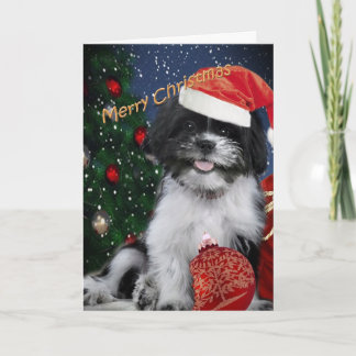 De Vrolijke Kerstkaarten van Tzu van Shih Feestdagen Kaart