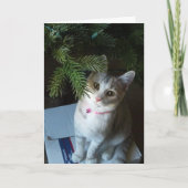 De vrolijke Muffin van Kerstmis (Kaart) Feestdagen Kaart (Voorkant)