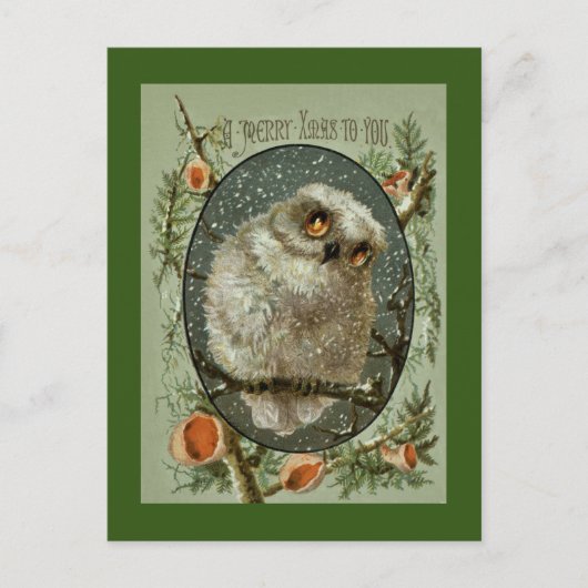 De vrolijke Uil van Kerstmis Feestdagenkaart (Voorkant)