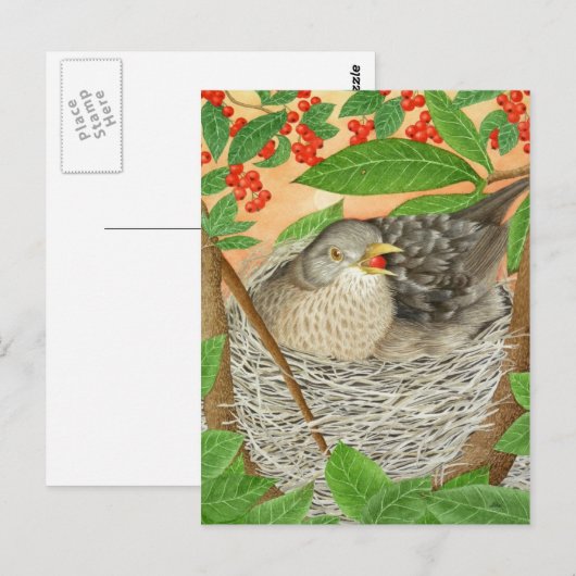 De Vrouw Blackbird Briefkaart (Voorkant / Achterkant)