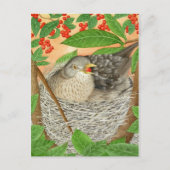 De Vrouw Blackbird Briefkaart (Voorkant)