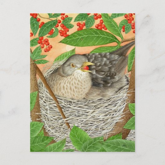 De Vrouw Blackbird Briefkaart (Voorkant)