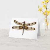 De vrouw Gestreepte Libel van de Wimpel Kaart (Gele Bloem)