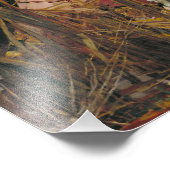 De Vrouwe van Shalott 1888 John William Waterhouse Foto Afdruk (Hoek)