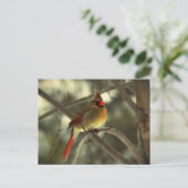 De Vrouwelijke Kardinaal van de vakantie Feestdagenkaart (Staand voorkant)